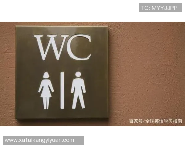 五个篮球的英文表达及其在日常对话中的应用技巧分享